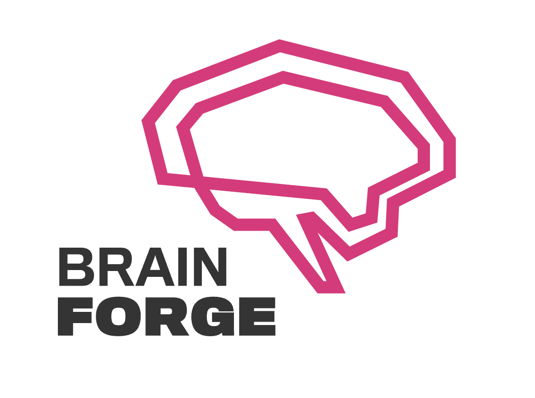 BRAINFORGE IT SOFTWARE & CONSULTING